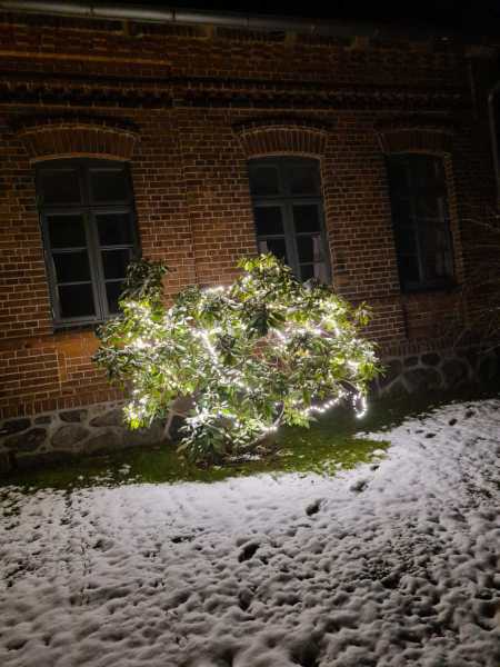 20211210_Stephan50_0002