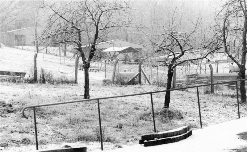 19900100_IMA88-Klassenfahrt-Eckartsberga_012