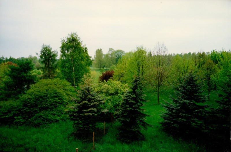 19910600_LWH-An-und-Ausblick_0012